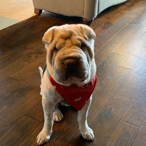 Meet your Posher, Angela